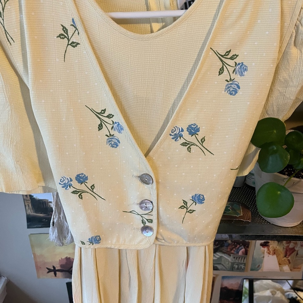 Dainty Vintage size 12 Dress